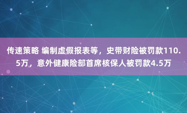 传速策略 编制虚假报表等，史带财险被罚款110.5万，意外健康险部首席核保人被罚款4.5万